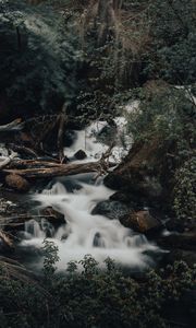 Preview wallpaper river, stream, stones, logs, bushes, wildlife