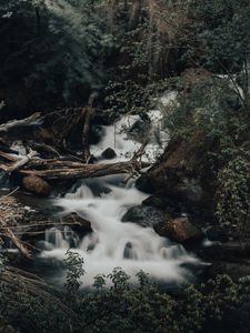 Preview wallpaper river, stream, stones, logs, bushes, wildlife