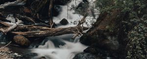 Preview wallpaper river, stream, stones, logs, bushes, wildlife