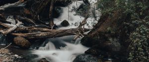 Preview wallpaper river, stream, stones, logs, bushes, wildlife