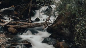 Preview wallpaper river, stream, stones, logs, bushes, wildlife