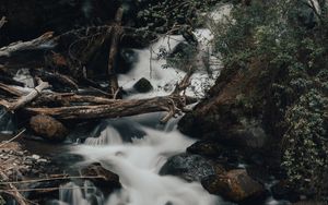 Preview wallpaper river, stream, stones, logs, bushes, wildlife