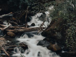 Preview wallpaper river, stream, stones, logs, bushes, wildlife