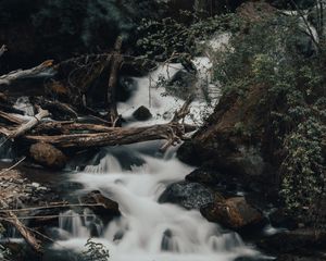 Preview wallpaper river, stream, stones, logs, bushes, wildlife