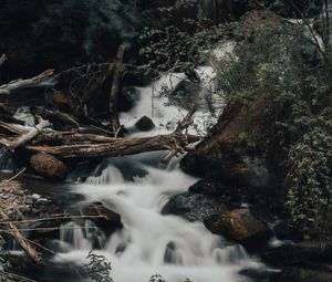 Preview wallpaper river, stream, stones, logs, bushes, wildlife