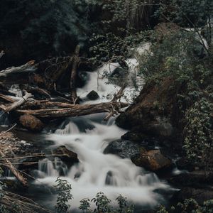 Preview wallpaper river, stream, stones, logs, bushes, wildlife