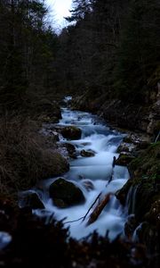 Preview wallpaper river, stream, stones, trees, forest