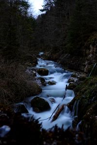 Preview wallpaper river, stream, stones, trees, forest