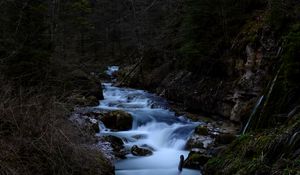 Preview wallpaper river, stream, stones, trees, forest