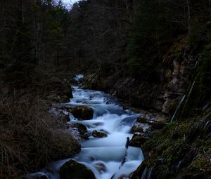 Preview wallpaper river, stream, stones, trees, forest