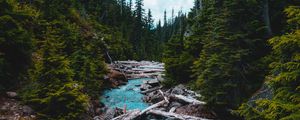 Preview wallpaper river, stream, stones, spruce, forest