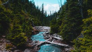 Preview wallpaper river, stream, stones, spruce, forest