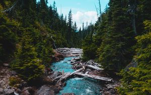 Preview wallpaper river, stream, stones, spruce, forest