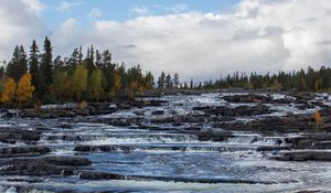 Preview wallpaper river, stream, stones, trees, nature