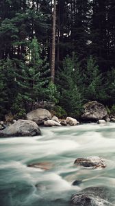 Preview wallpaper river, stream, stones, trees, forest, nature