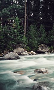 Preview wallpaper river, stream, stones, trees, forest, nature