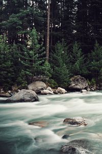 Preview wallpaper river, stream, stones, trees, forest, nature