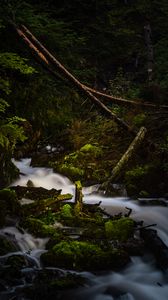 Preview wallpaper river, stream, stones, moss, branches