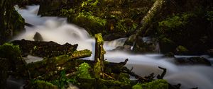 Preview wallpaper river, stream, stones, moss, branches