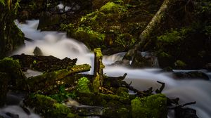 Preview wallpaper river, stream, stones, moss, branches