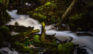 Preview wallpaper river, stream, stones, moss, branches