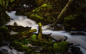 Preview wallpaper river, stream, stones, moss, branches