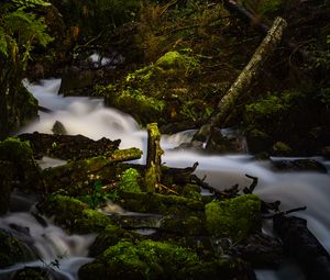 Preview wallpaper river, stream, stones, moss, branches