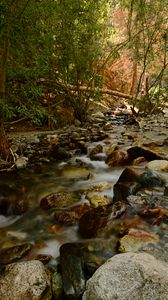 Preview wallpaper river, stream, stones, trees, water