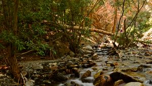 Preview wallpaper river, stream, stones, trees, water