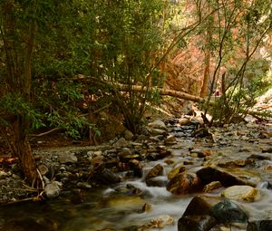 Preview wallpaper river, stream, stones, trees, water