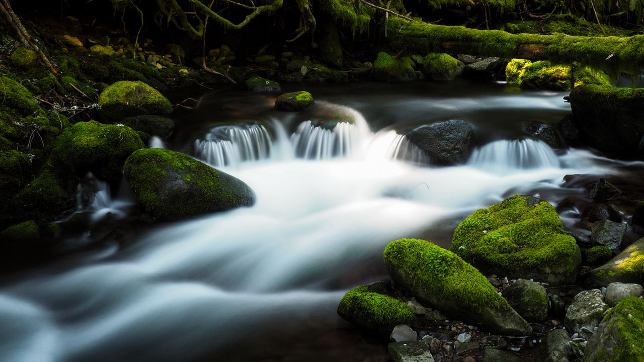 Wallpaper river, stream, stones, moss, water