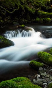 Preview wallpaper river, stream, stones, moss, water