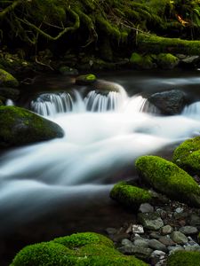 Preview wallpaper river, stream, stones, moss, water