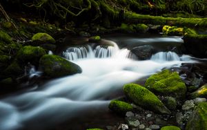 Preview wallpaper river, stream, stones, moss, water