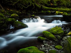 Preview wallpaper river, stream, stones, moss, water