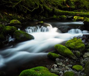 Preview wallpaper river, stream, stones, moss, water