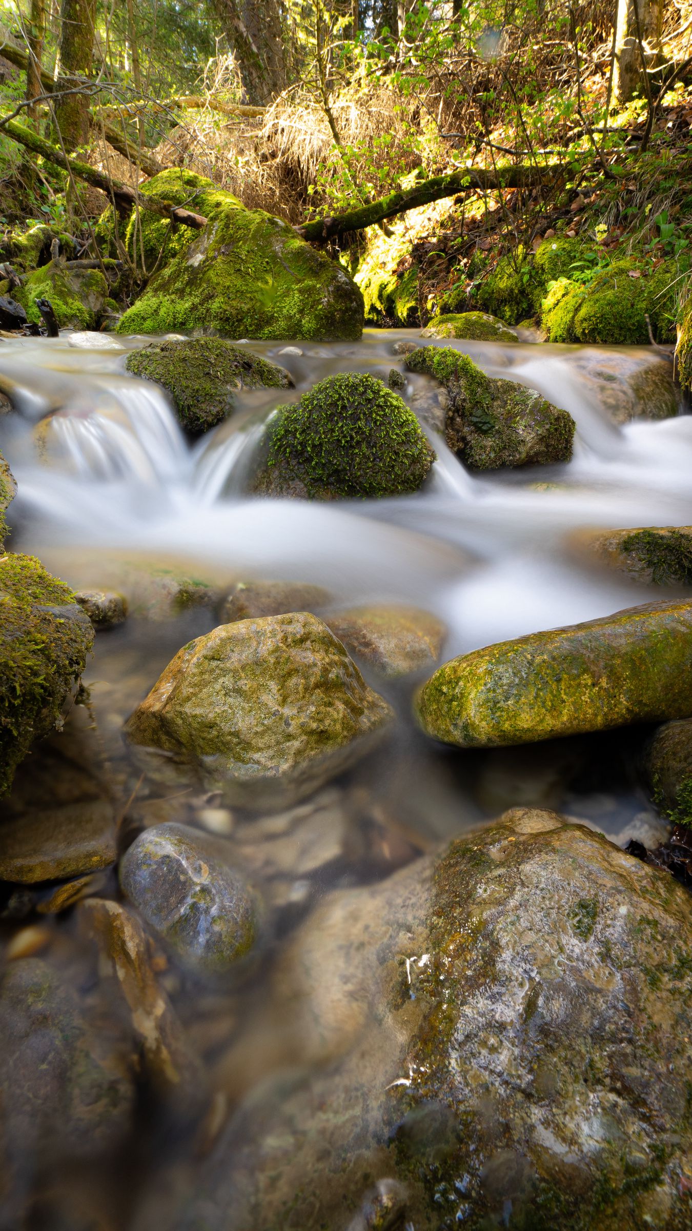 Download Wallpaper X River Stream Stones Moss Water Long Exposure Iphone S