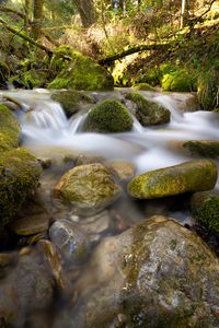 Preview wallpaper river, stream, stones, moss, water, long exposure