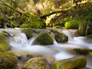 Preview wallpaper river, stream, stones, moss, water, long exposure