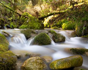 Preview wallpaper river, stream, stones, moss, water, long exposure