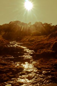 Preview wallpaper river, stream, sunset, sun
