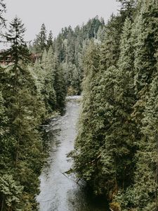 Preview wallpaper river, stream, trees