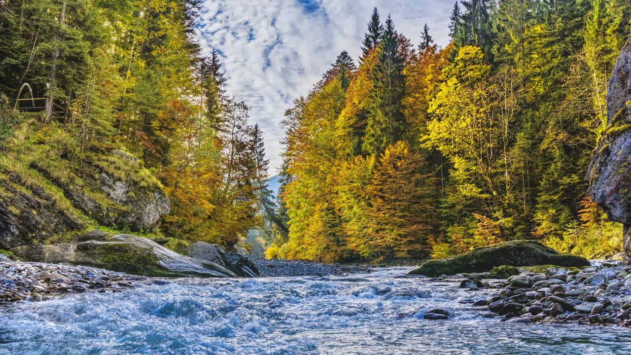 Wallpaper river, stream, trees, autumn