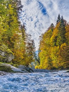 Preview wallpaper river, stream, trees, autumn