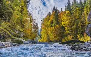 Preview wallpaper river, stream, trees, autumn