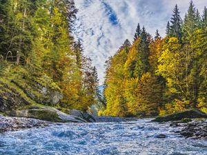 Preview wallpaper river, stream, trees, autumn