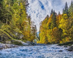 Preview wallpaper river, stream, trees, autumn