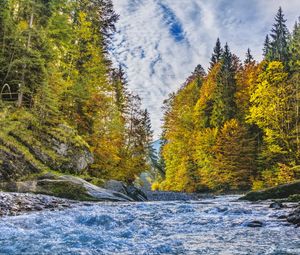 Preview wallpaper river, stream, trees, autumn