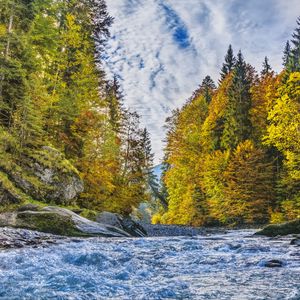 Preview wallpaper river, stream, trees, autumn