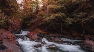 Preview wallpaper river, stream, trees, stones, water